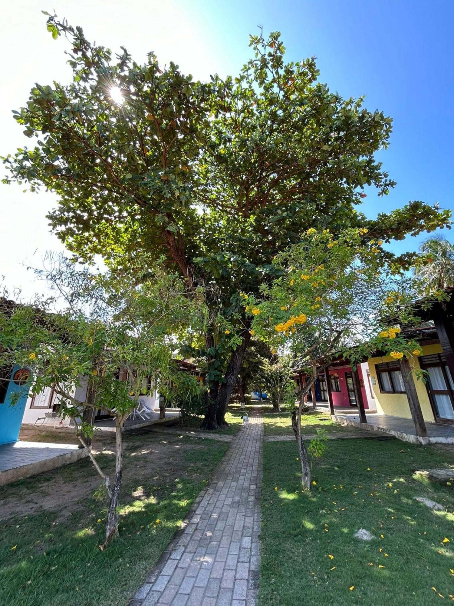 Chalés Praias Brasileiras Maragogi Exterior foto
