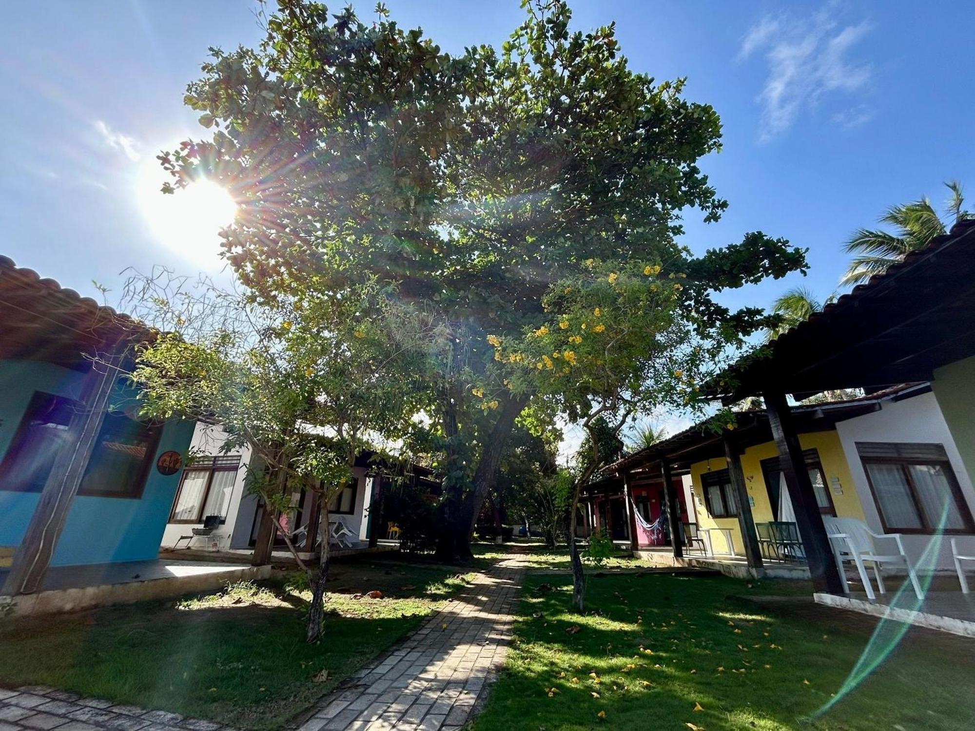 Chalés Praias Brasileiras Maragogi Exterior foto